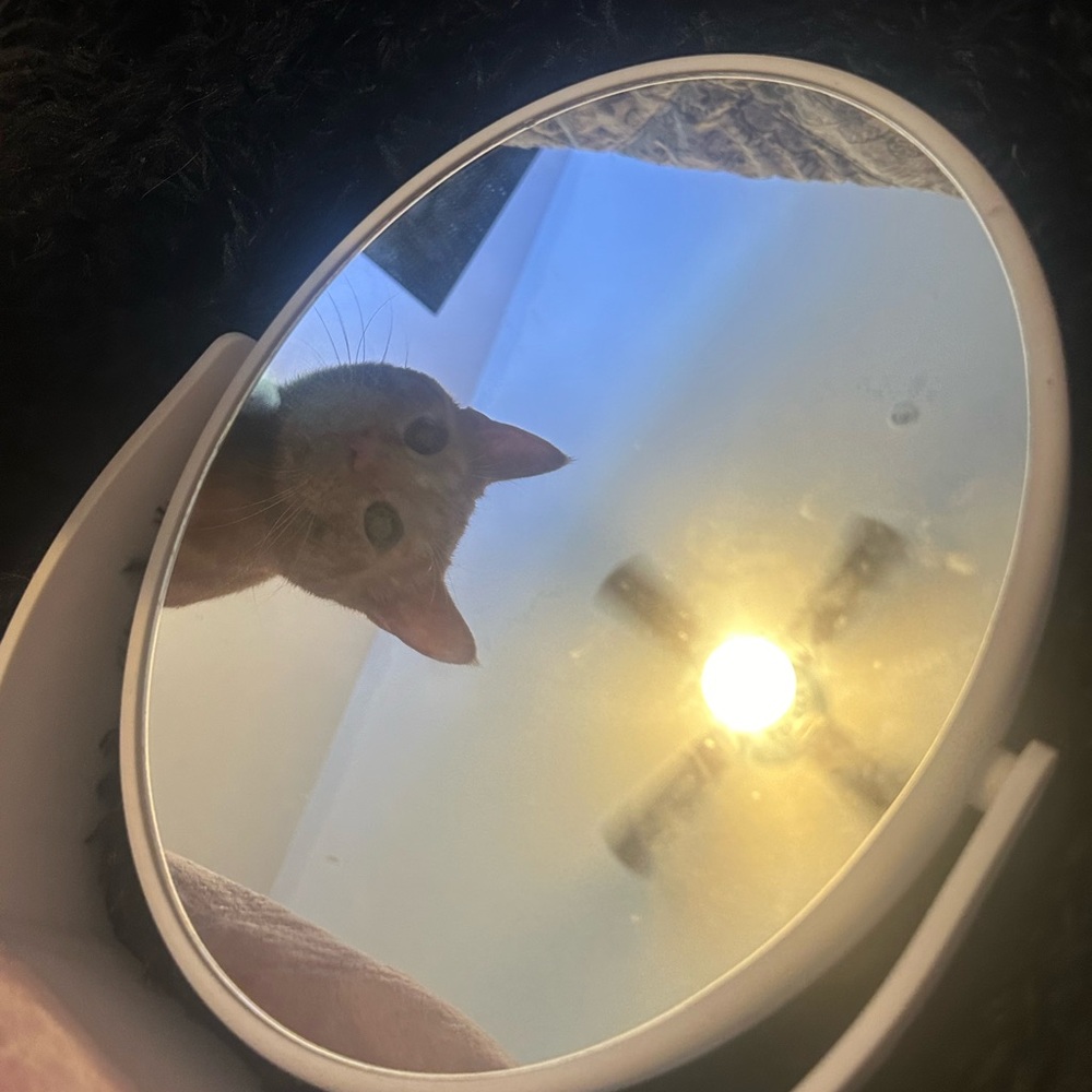 White Mirror Stand